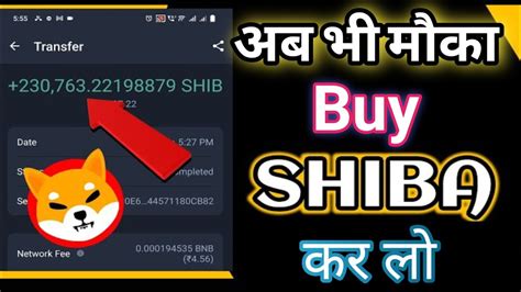 Shiba inu Big rally coming 1000X Profit क मक Best time to buy shiba