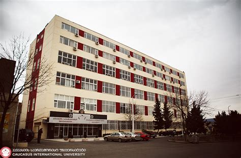 Caucasus International University