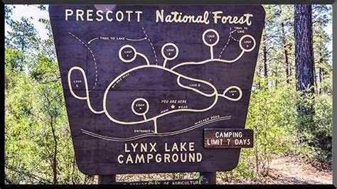 Map Of Lynx Lake Campground In 2024 Prescott National Forest Forest