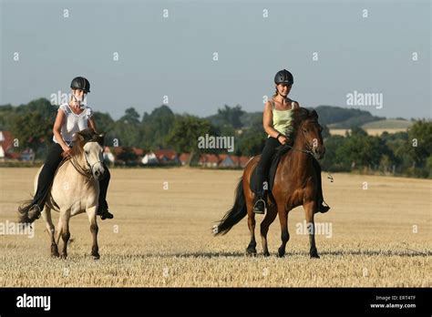 riding a gaited horse Stock Photo - Alamy