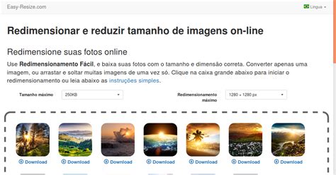 Diminuir Fotos E Imagens Online Gratuitamente Easy Resize