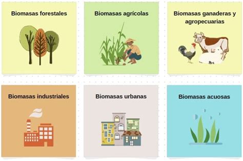 Descubre los Diferentes Tipos de Biomasa y su Aplicación en la Energía