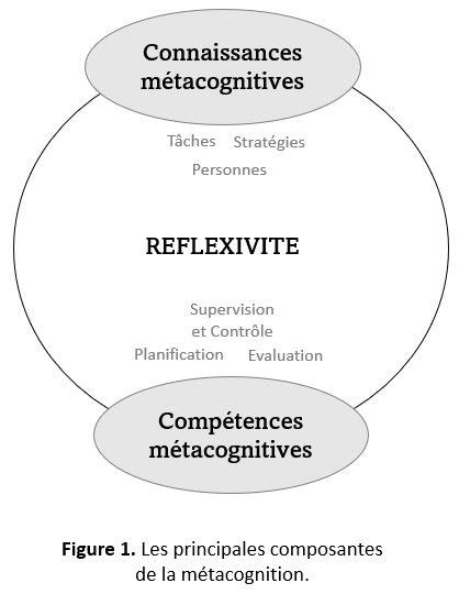 La Métacognition Sinvite Dans La Salle De Classe