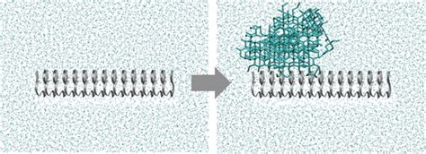 Ice Nucleating And Antifreeze Proteins Recognize Ice Through A Diversity Of Anchored Clathrate