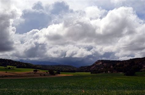 La Junta Publica La Regulaci N De Las Ayudas Agroambientales Y De