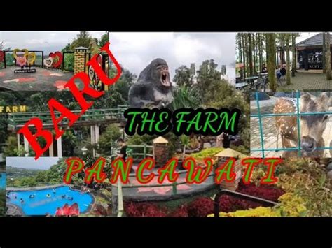 THE FARM PANCAWATI BOGOR TEMPAT WISATA MURAH MERIAH YouTube