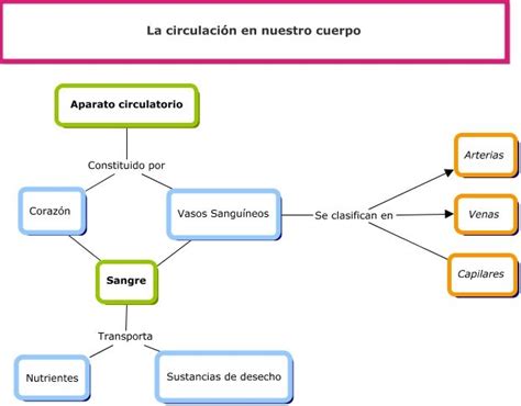 Mapa Conceptual Sistema Circulatorio 55620 Hot Sex Picture