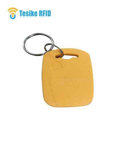 Rewritable Em4305 125 KHz Cmyk Offset Printing RFID Keyfob Tag China