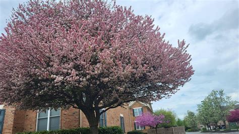 New Jersey Nature is Beautiful : r/newjersey