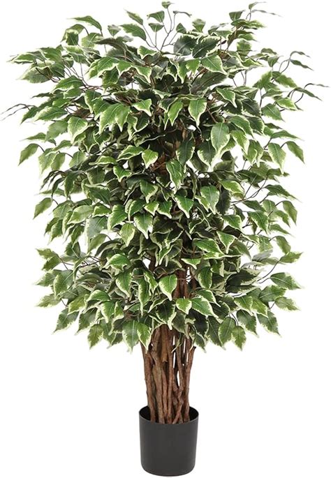 Amazon De K Nstliche Pflanzen Gro Kunstpflanze Benjamini Ficus