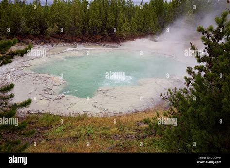 A Natural View Of The Steaming Hot Spring In Yellowstone Park United States Stock Photo Alamy