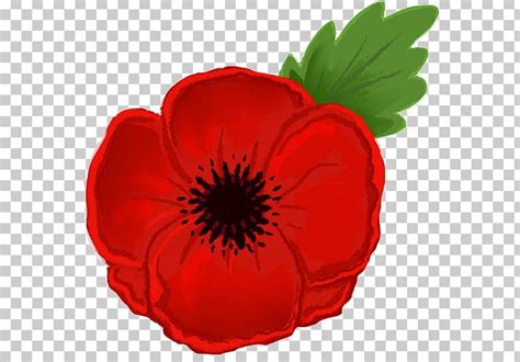 Remembrance Poppy Armistice Day PNG, Clipart, Anzac Day, Armistice Day ...