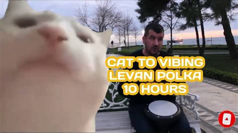 10 Hours Cat Vibing To Ievan Polkka Official Video Hd Cat Vibing To