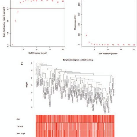 Soft Threshold Power In Wgcna And K Means Clustering Of Tnbc Samples