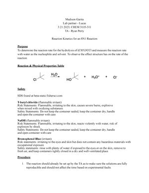 3106 Lab Report 1 Lab Madison Garita Lab Partner Amelia Balser 1