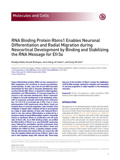 PDF RNA Binding Protein Rbms1 Enables Neuronal Differentiation And