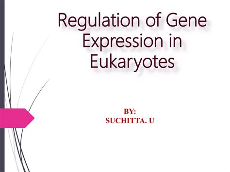 Regulation Of Gene Expression In Eukaryotes Ppt