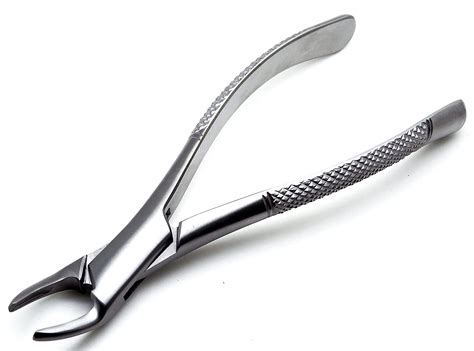 Extracting Forceps American Pattern Murree Corporation