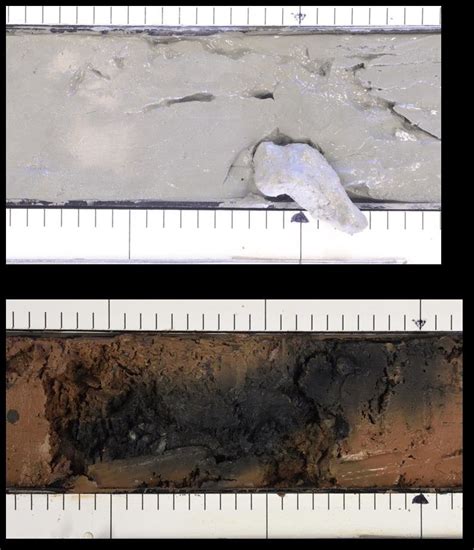 Examples Of Recovered Sediment In Core 048 Carbonate Concretions And