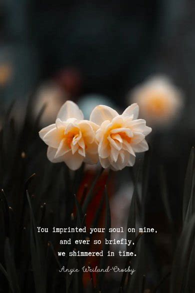 Soul Quotes To Love And Live By Momsoulsoothers