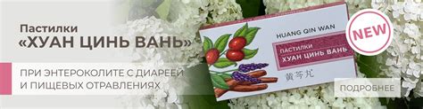 Корпорация «Ли Вест». Официальный сайт