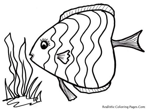 Fish Coloring Pages Free Large Images