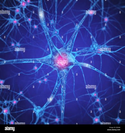 Neural Network Brain Cells Human Nervous System Neurons Stock