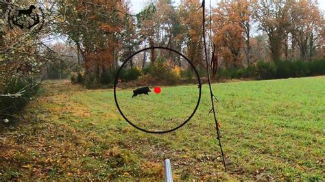 Vidéo Compilation de 9 tirs de sangliers en Sologne Chasse Passion