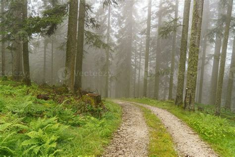 hiking in the austrian alps 27261704 Stock Photo at Vecteezy