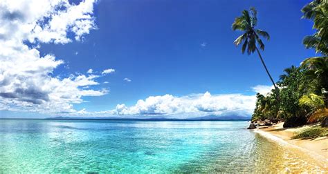 Vieques Island Puerto Rico | Boricua.com