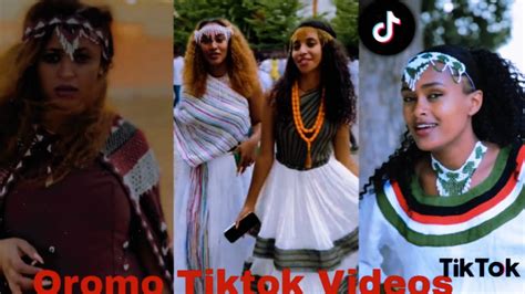 Sirba Afaan Oromoo Haaraa Oromo Music Oromotiktok Youtube