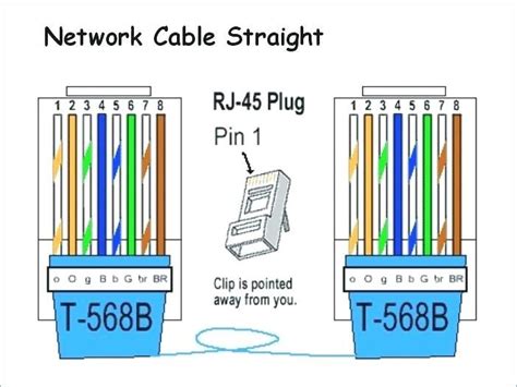 Cat5 Module Wiring Cat5 B Wiring Diagram Printable