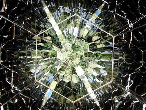 Free Images : light, flower, reflection, symmetry 2000x1500 - - 45012