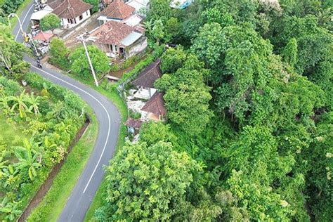 Tanah Murah Pinggir Jalan Desa Pancoran Panji Anom Kavling Singaraja