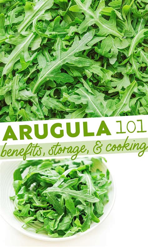 Arugula 101 Buying Storing And Benefits Of Rocket In 2021