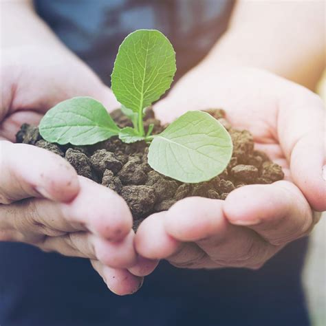 O que faz uma empresa ser sustentável Serfer Aços