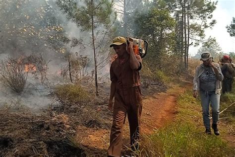 Enfrentan incendio en zona montañosa de Holguín Fotos Trabajadores