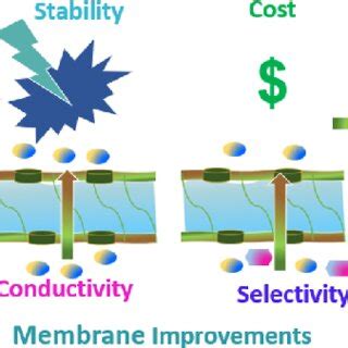 Left Rfb Membranes Permit The Movement Of Supporting Electrolyte Ions