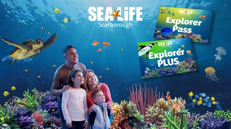 Visit SEA LIFE Scarborough Aquarium | SEA LIFE Centre