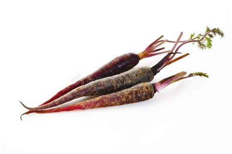 Purple Carrots Stock Photos - Download 4,686 Royalty Free Photos