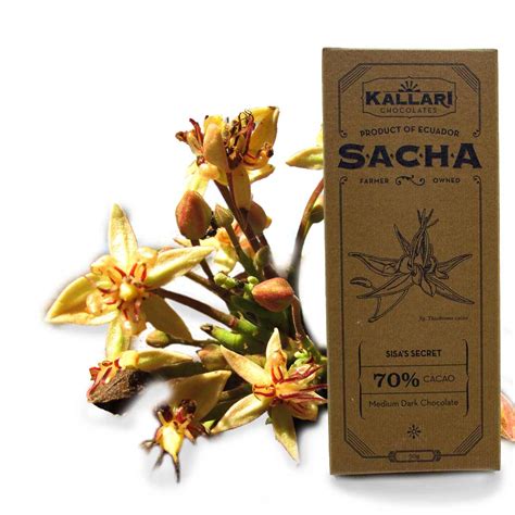 10 Tafel Schokolade 70% Kakao, SACHA Sisa's Secret - Kallari Futuro