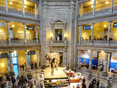 Smithsonian Institution Museums in Washington, DC | Washington DC