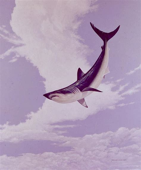 Mako Shark Painting at PaintingValley.com | Explore collection of Mako Shark Painting