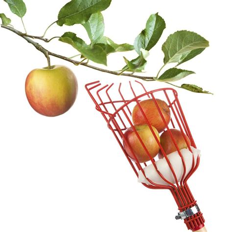 Metal Greenhouse Fruits Picking Tool Apples Pears Peaches Orange