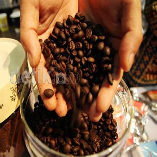 Selain Kopi Luwak Jenis Kopi Asal Ri Ini Diakui Dunia