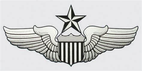 Us Air Force Senior Pilot Wing