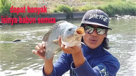 Gak Perlu Nunggu Lama Buat Mancing Nila Babon YouTube