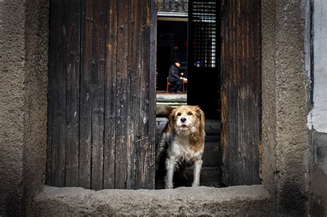 老宅 朱永利 富士（中国）极致影像 Fujifilm