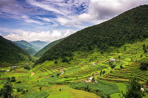 HD Wallpaper Rice Terraces Field Nature Landscape Rice Paddy China