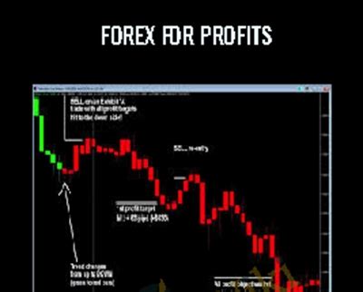 Learning How To Successfully Trade The E Mini And Sandp Markets